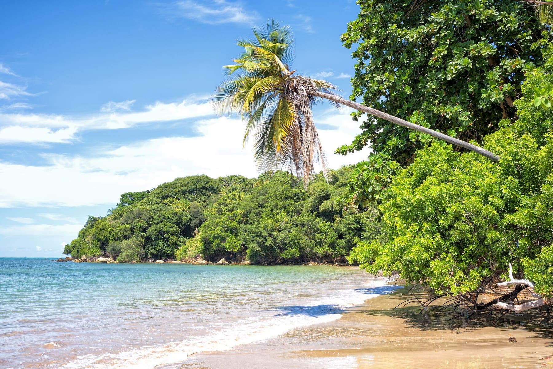 Volta à ilha de lancha: Moreré, Boipeba e Cairu